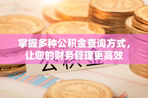 徐汇掌握多种公积金查询方式，让您的财务管理更高效