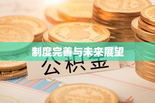 徐汇制度完善与未来展望