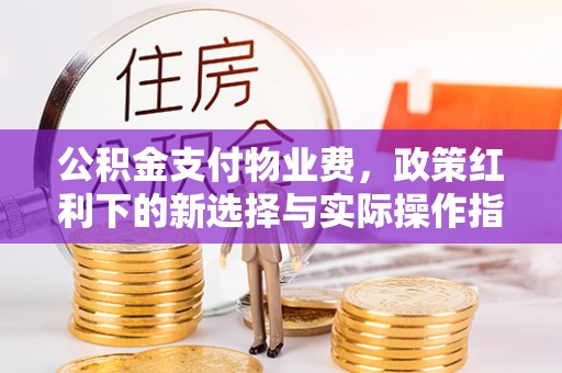徐汇公积金支付物业费，政策红利下的新选择与实际操作指南