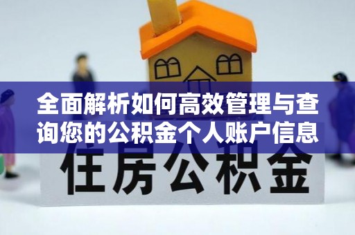 徐汇全面解析如何高效管理与查询您的公积金个人账户信息