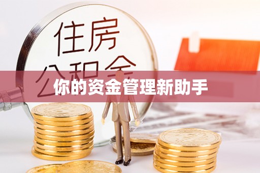 徐汇你的资金管理新助手