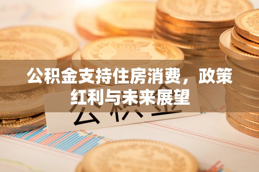 徐汇公积金支持住房消费，政策红利与未来展望