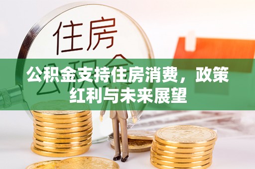 徐汇公积金支持住房消费，政策红利与未来展望