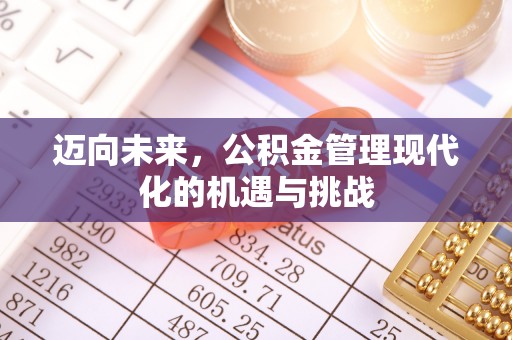 徐汇迈向未来，公积金管理现代化的机遇与挑战