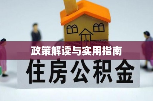 徐汇政策解读与实用指南