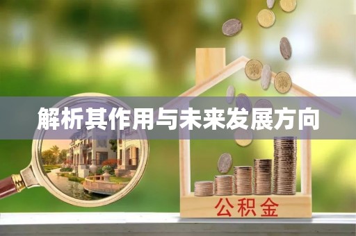徐汇解析其作用与未来发展方向
