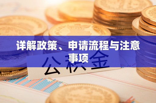 徐汇详解政策、申请流程与注意事项